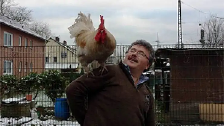 Çok sevdiği horozlarına Recep Tayyip Erdoğan adını koydu