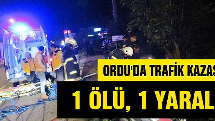 ORDU'DA TRAFİK KAZASI: 1 ÖLÜ, 1 YARALI