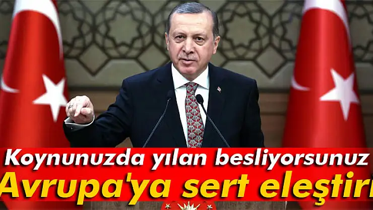 Erdoğan'dan Avrupa'ya sert eleştiri