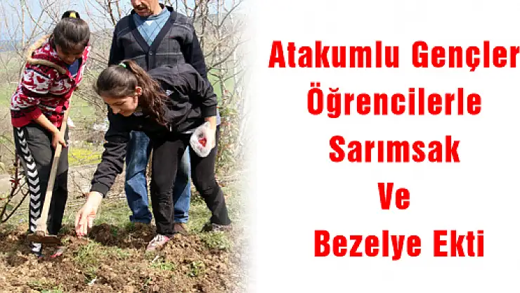 Atakumlu Gençler Öğrencilerle Sarımsak Ve Bezelye Ekti