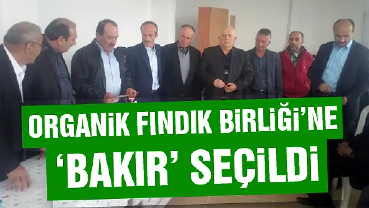 Organik Fındık Birliğine 'Bakır' seçildi