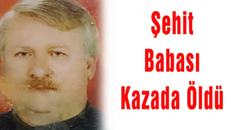 Şehit Babası Kazada Öldü