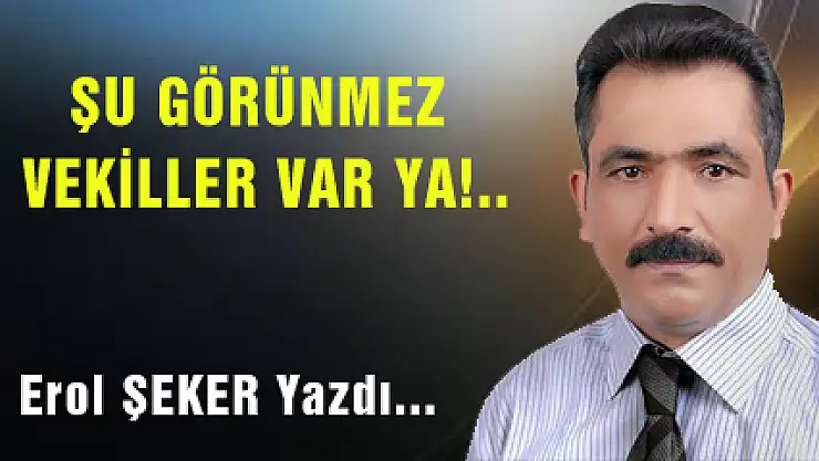 ŞU GÖRÜNMEZ VEKİLLER VAR YA!..
