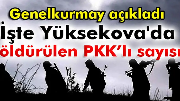Yüksekova'da 177 PKK'lı öldürüldü