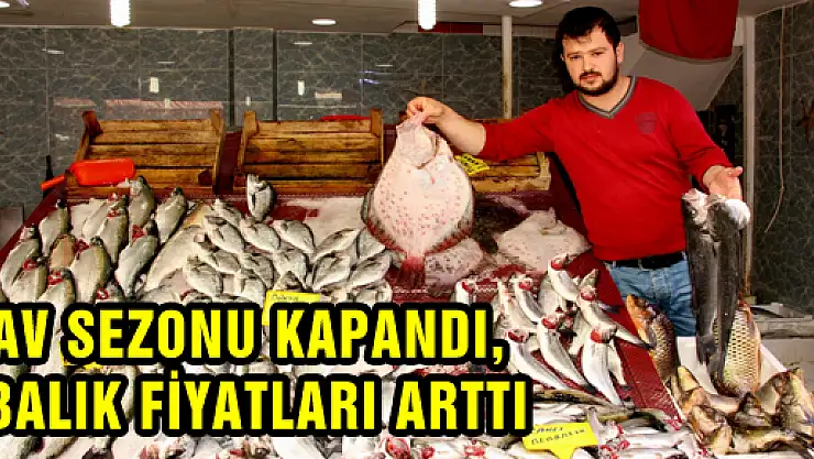 AV SEZONU KAPANDI, BALIK FİYATLARI ARTTI