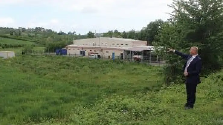 TEKKEKÖY HAYVAN PAZARI İLÇE MERKEZİNDEN ÇIKARTILIYOR