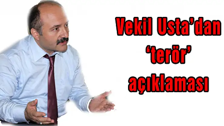 Vekil Usta'dan 'terör' açıklaması