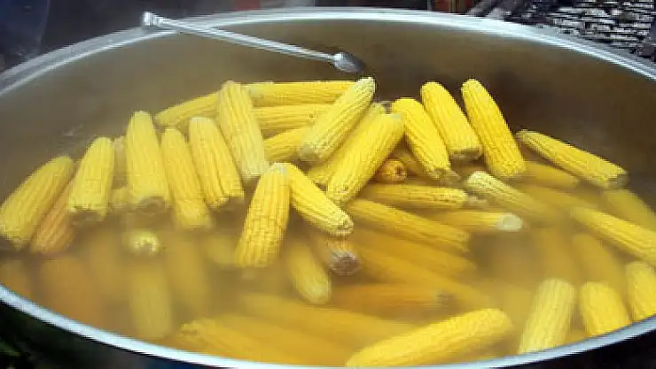 Süt Mısır Piyasaya indi