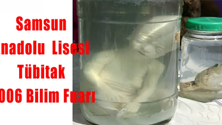 Sal Tübitak 4006 Bilim Fuarı