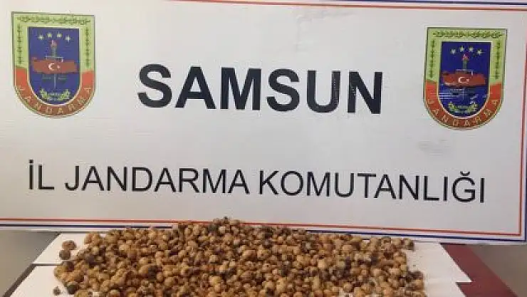 KAÇAK SALEP TOPLAYANA 40 BİN LİRA CEZA