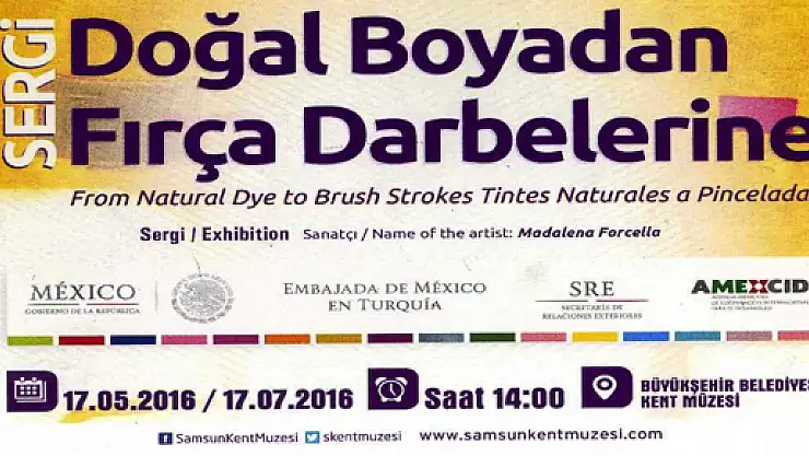 Doğal Boyadan Fırça Darbelerine