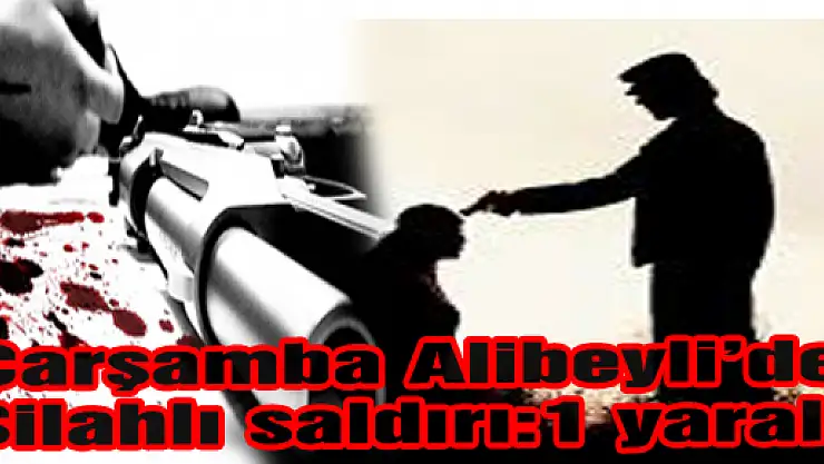ALİBEYLİ DE SİLAHLI SALDIRI:1 YARALI
