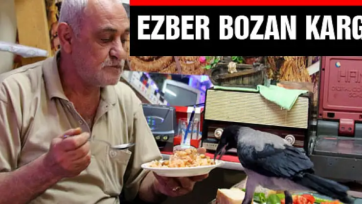  EZBER BOZAN KARGA