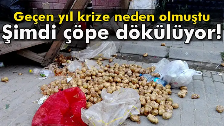 Pazarcılar satılmayan patatesleri çöpe dökmeye başladı