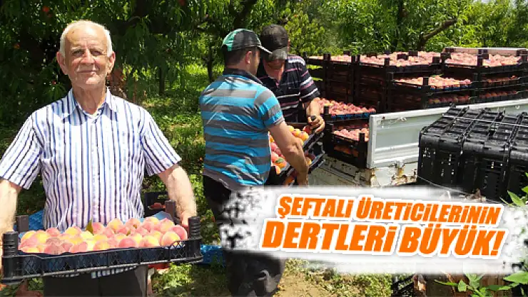 ŞEFTALİ ÜRETİCİLERİ SIKINTIDA