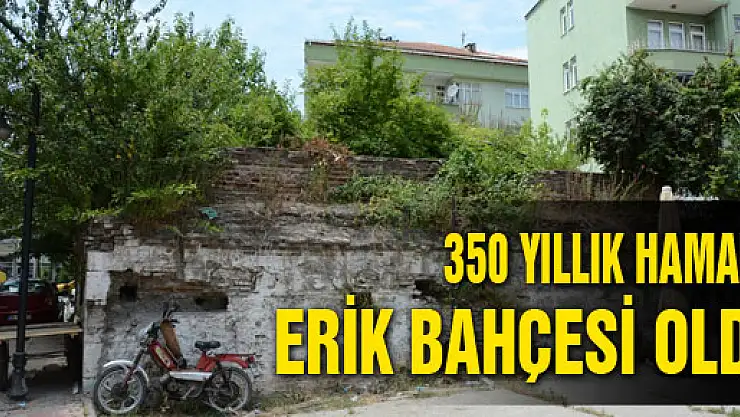 350 YILLIK HAMAM ERİK BAHÇESİ OLDU