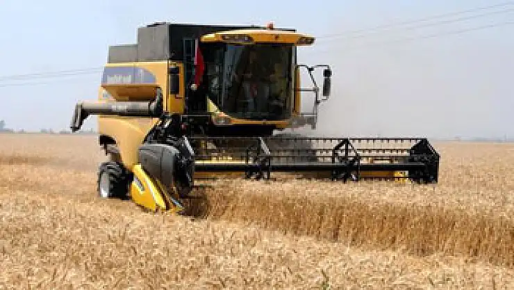 Samsun'da Biçerdöverle Buğday Hasadı Başladı