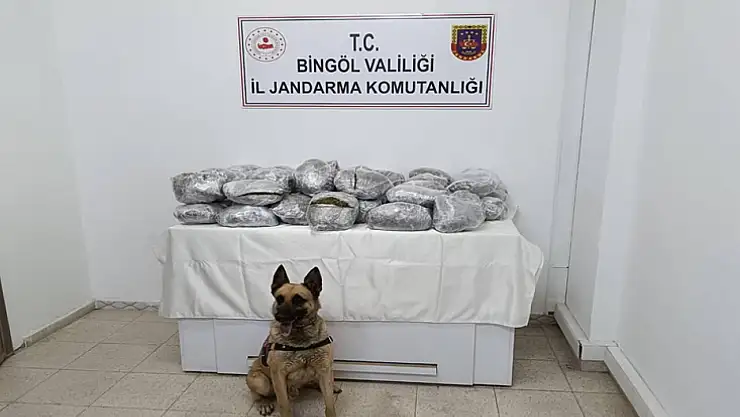 49 kilo esrar ele geçirildi