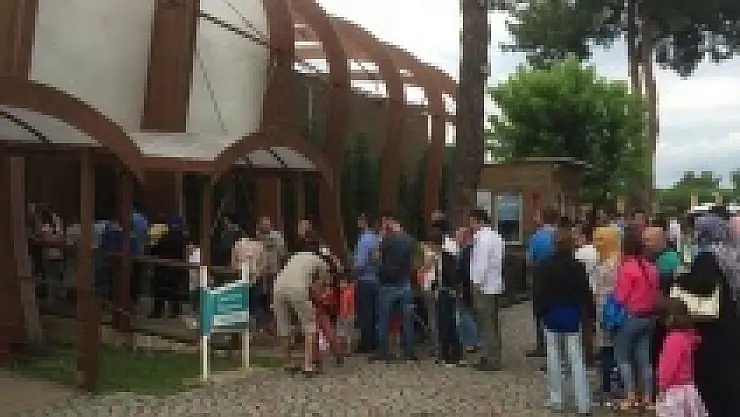 Ordu'da görenleri şaşırtan kuyruk