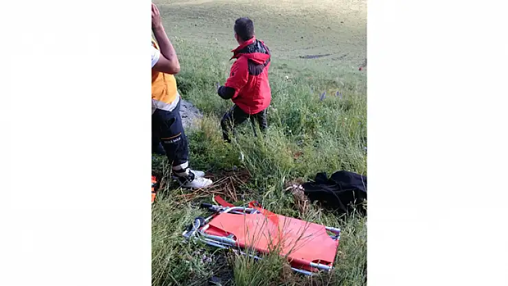 Kars'ta ayı saldırısı: 2 ölü, 2 yaralı