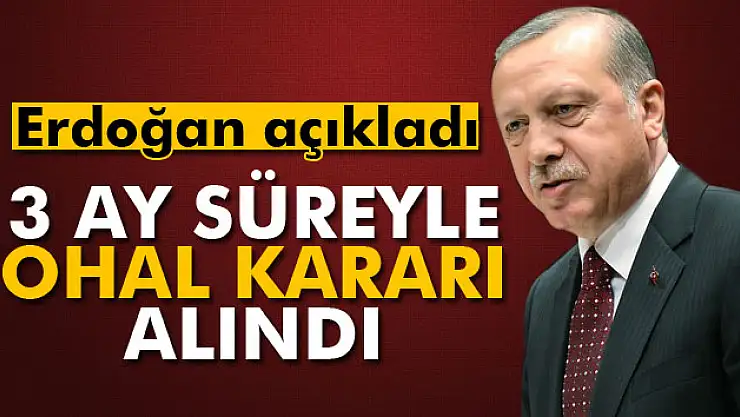 Cumhurbaşkanı Erdoğan: '3 ay süreyle OHAL kararı alındı'