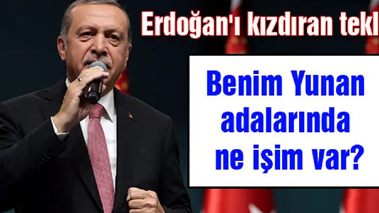 Cumhurbaşkanı Erdoğan'ı kızdıran teklif: Benim Yunan adalarında ne işim var?