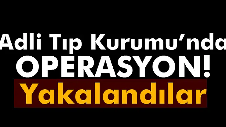 Adli Tıp Kurumu'nda FETÖ operasyonu
