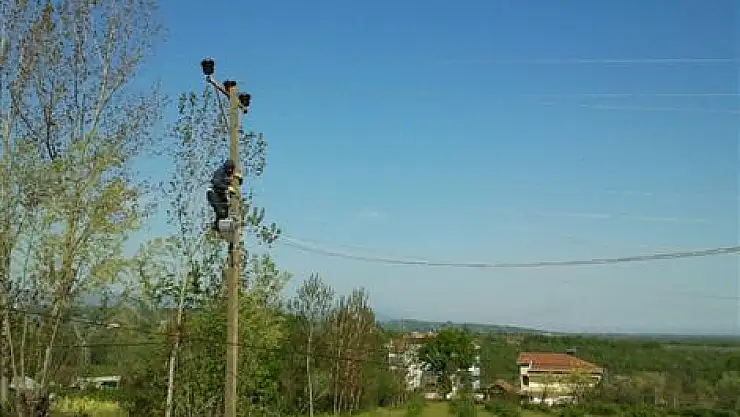 Ağcagüney'de elektrik direkleri kayıyor