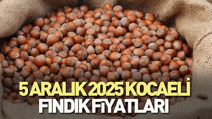5 Aralık 2025 Kocaeli Fındık Fiyatları? 321 TL Bandı Göründü