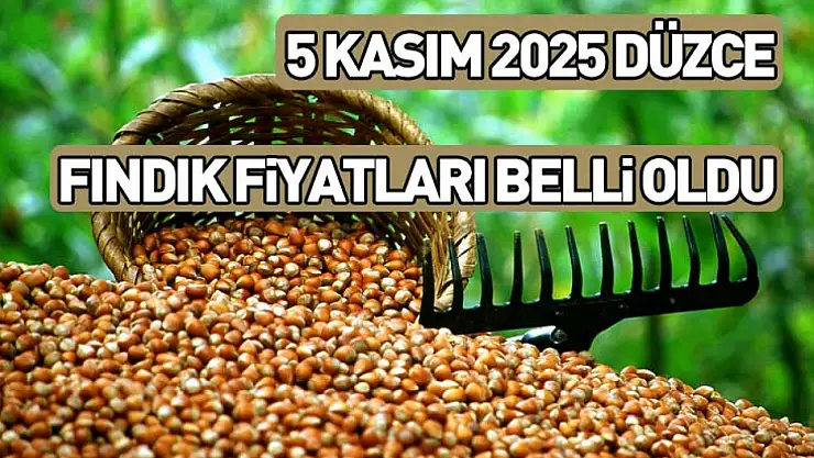 5 Kasım 2025 Düzce Fındık Fiyatları Açıklandı: İlçelere Göre Güncel Liste!