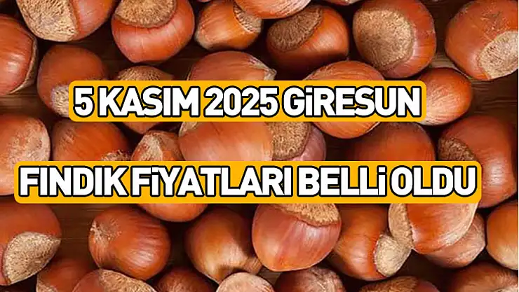 5 Kasım 2025 Giresun Fındık Fiyatları Belli Oldu