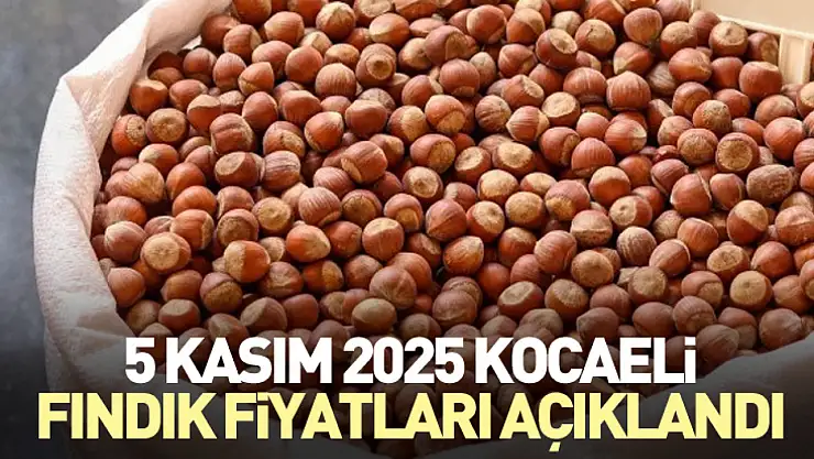 5 Kasım 2025 Kocaeli Fındık Fiyatları Açıklandı