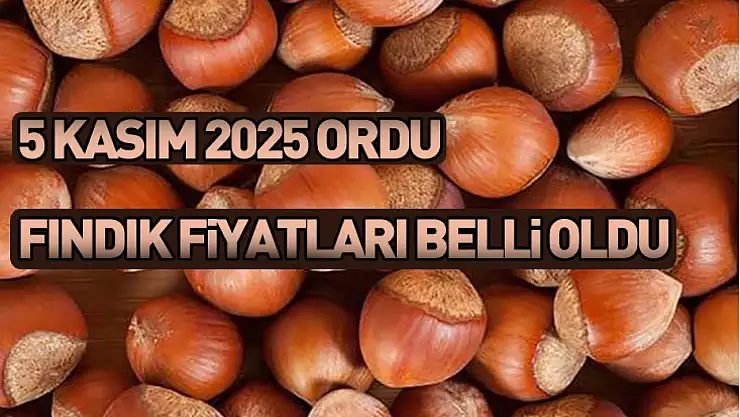 5 Kasım 2025 Ordu Fındık Fiyatları Belli Oldu