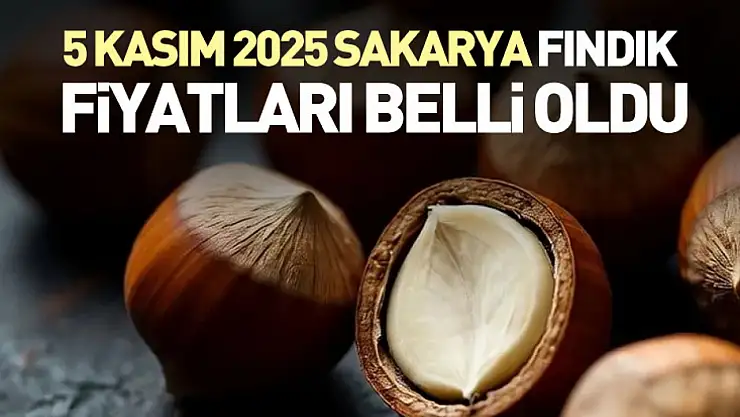 5 Kasım 2025 Sakarya Fındık Fiyatları Belli Oldu