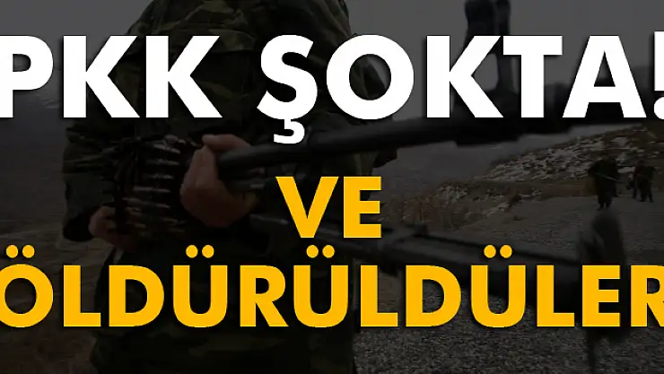 PKK'nın sözde bölge sorumluları öldürüldü