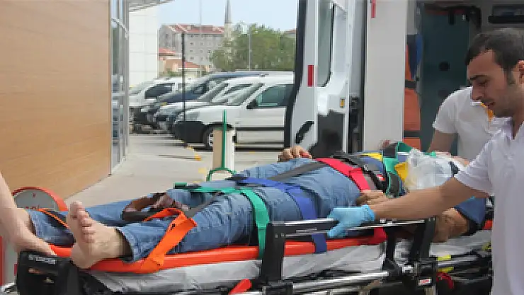 İncir toplarken canından oluyordu