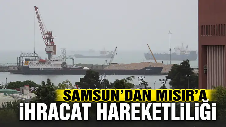 Samsun'dan Mısır'a bentonit ve barit ihracatı