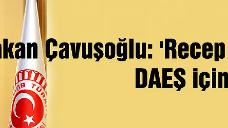 Bakan Çavuşoğlu: 'Recep Tayyip Erdoğan, DAEŞ için birinci hedeftir'