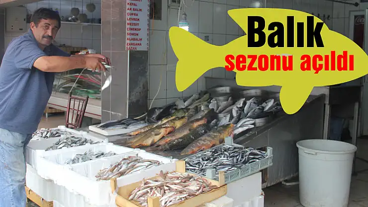 Balık sezonu açıldı, tezgahlar şenlendi