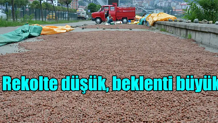 Rekolte düşük, beklenti büyük