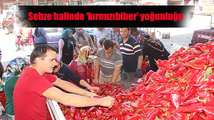 Sebze halinde 'kırmızıbiber' yoğunluğu