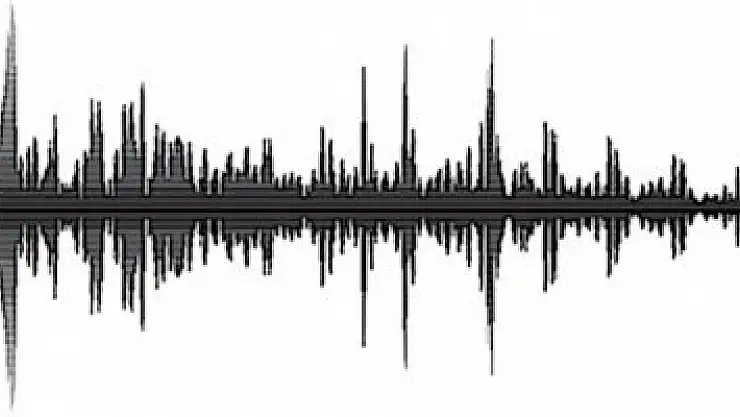 HDP'li vekillere ses analizi yapılacak