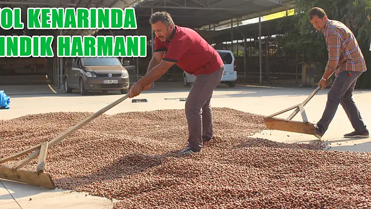 Yol Kenarında Fındık Harmanı