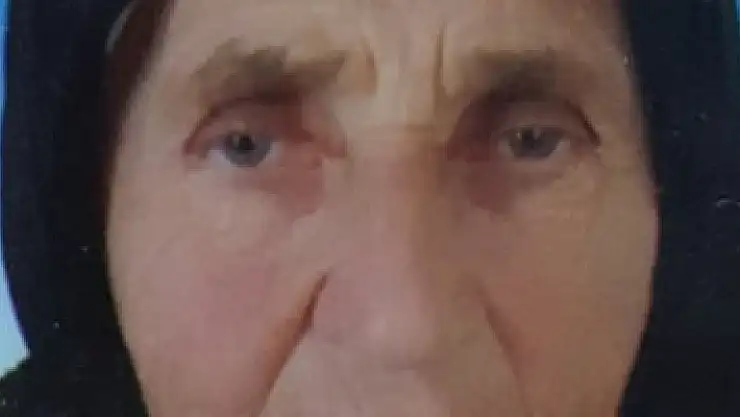 Minibüsün çarptığı yaşlı kadın hayatını kaybetti