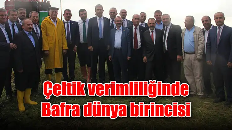 Çeltik verimliliğinde Bafra dünya birincisi
