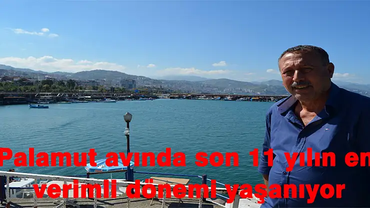 Palamut avında son 11 yılın en verimli dönemi yaşanıyor