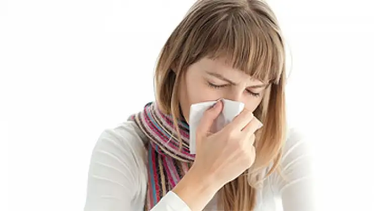 Gribin giriş kapısı eller