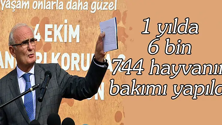 1 yılda 6 bin 744 hayvanın bakımı yapıldı