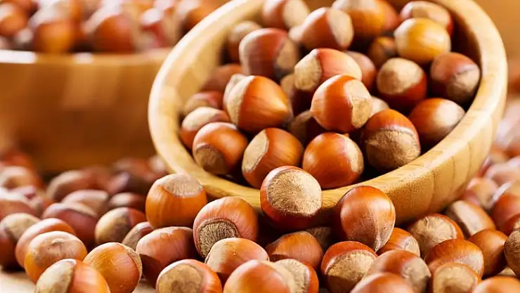 Fındık ihracatında büyük düşüş