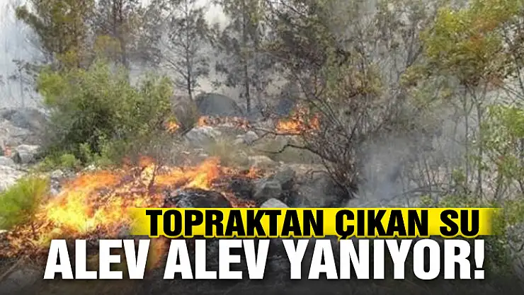 Terme de topraktan çıkan su alev alev yanıyor